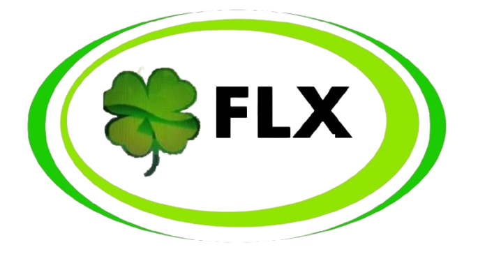Felix International